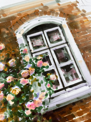 Живописные розы и текстуры