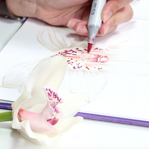 Рисуем орхидею