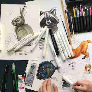 Анималистика в иллюстрации