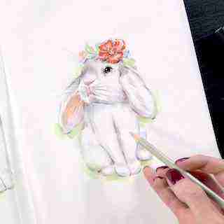 Портреты зверят