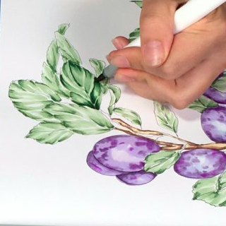 Ветка сливы